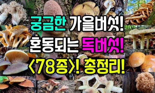 清热宁颗粒什么时候见效果-清热宁颗粒最佳搭配专区_清热宁颗粒的成分专区_清热宁颗粒什么时候见效网